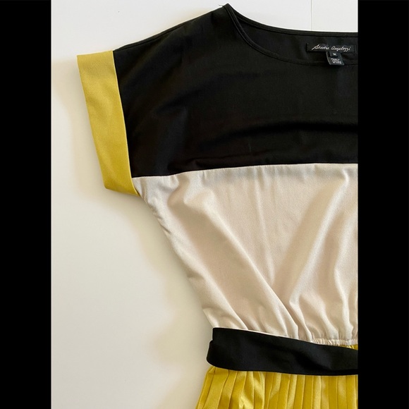 SANDRA ANGELOZZI Color Block Accordion Dress Medium - Picture 4 of 8